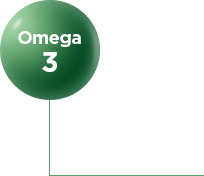 Pin 1