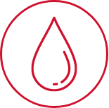 Ikona
