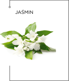 Smell title